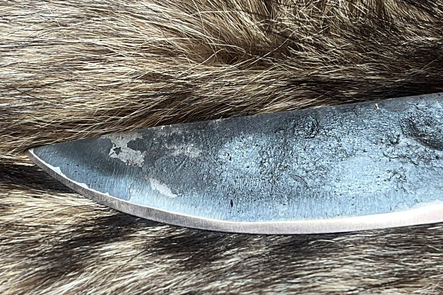 Viking Seax 16.5" Olive Wood Handle